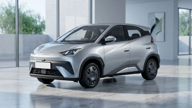 Byd Dolphin Surf 43,2 kWh Boost