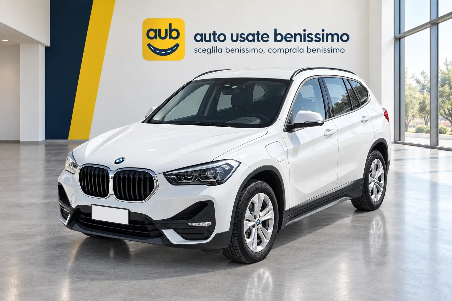 BMW X1 X Drive 25E Business Advantage automatico