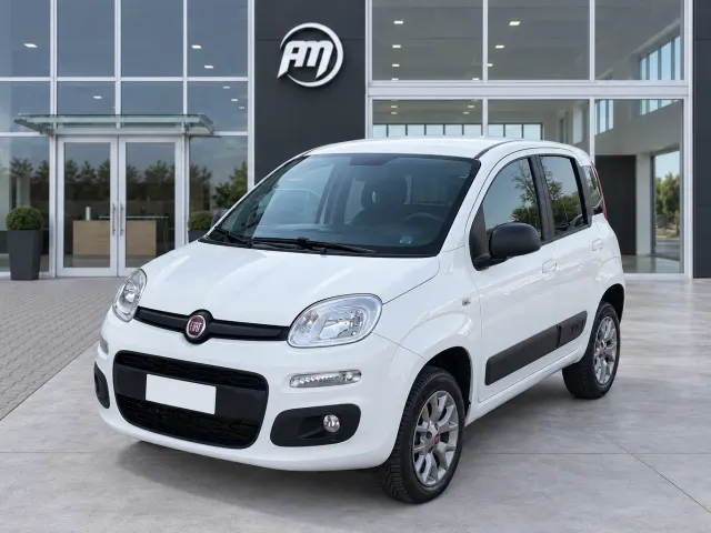 Fiat Panda VAN 1.3 MJT 80 CV 4X4