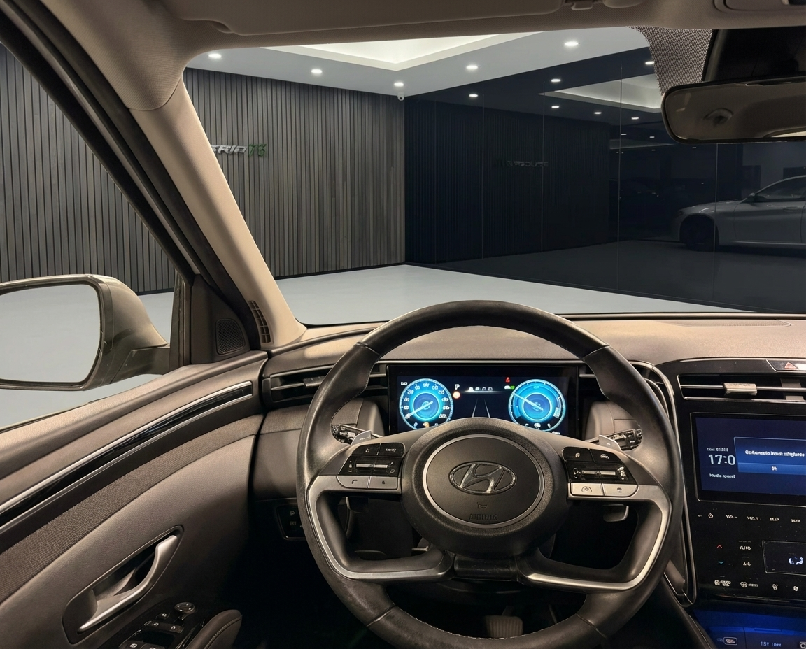 Hyundai Tucson 1.6 phev Exellence 4wd auto 2021 — foto 10