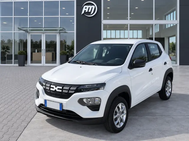 Dacia Spring 45 35 KW VAN 2 POSTI