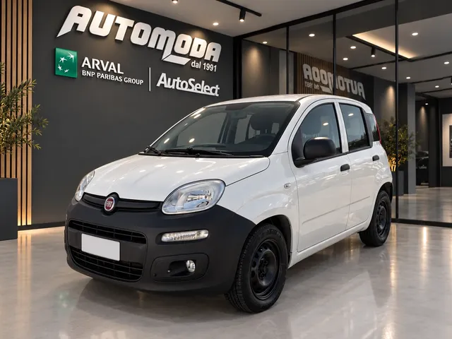 Fiat Panda 1.3Mjt Van 2 Posti