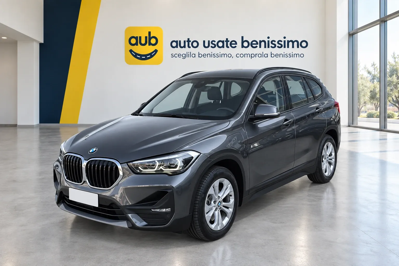 BMW X1 xdrive25e Advantage auto