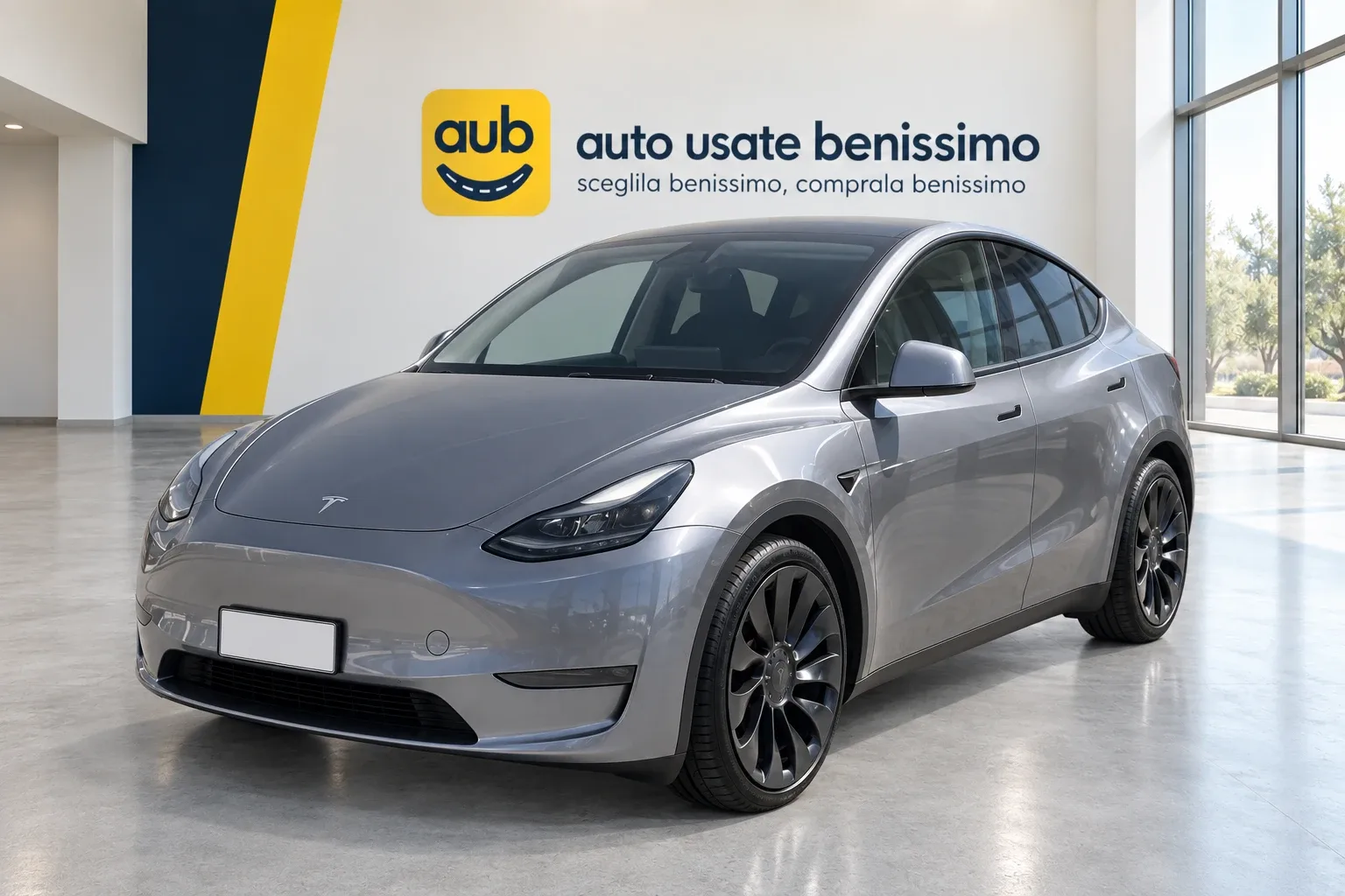 Tesla Model Y Performance Dual Motor 4WD