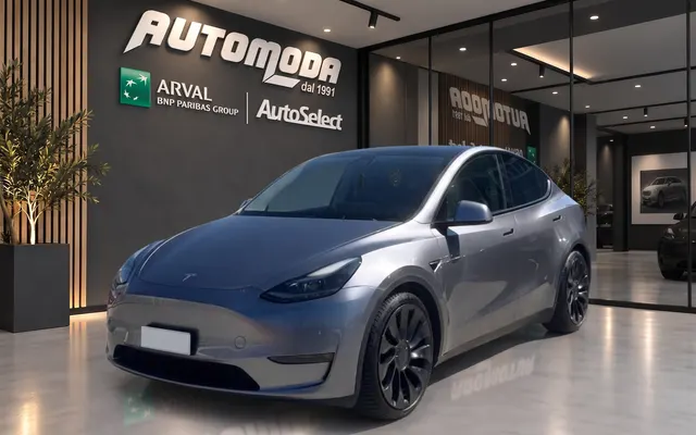 Tesla Model Y Performance Dual Motor 4WD