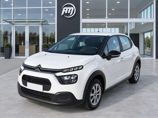 Citroen C3 1.5 100cv Business N1 Autocarro 4 posti