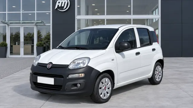 Fiat Panda 1.2 B/Gpl Van 2 posti
