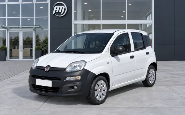 Fiat Panda 1.2 B/Gpl Van 2 posti