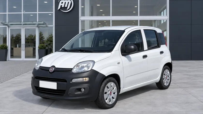 Fiat Panda 1.2 B/Gpl Van 2 posti 2016