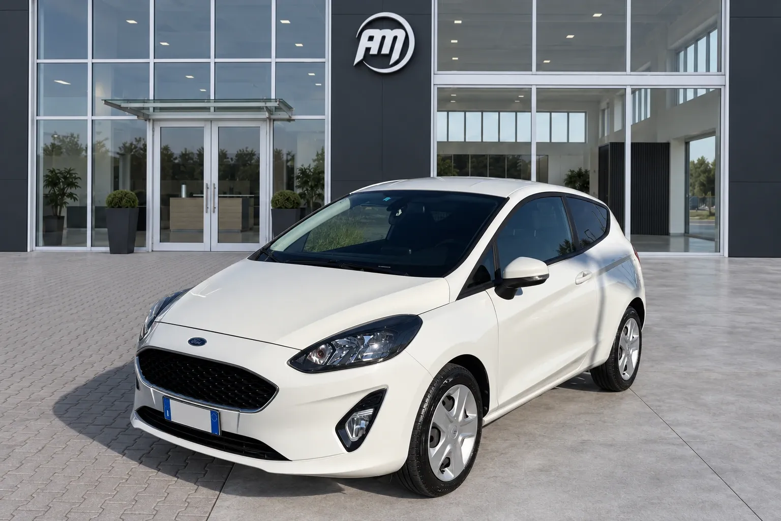 Ford Fiesta VAN 3 PORTE